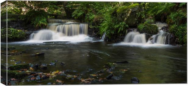 Two cascades on Rivelin River Canvas Print by Jason Wells