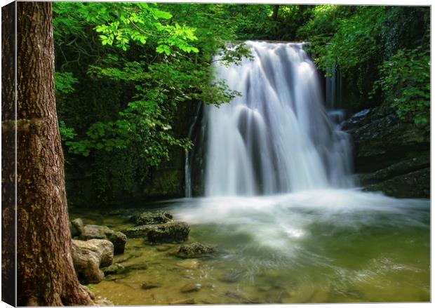 The Mesmerizing Beauty of Janets Foss Waterfall Canvas Print by Jim Round