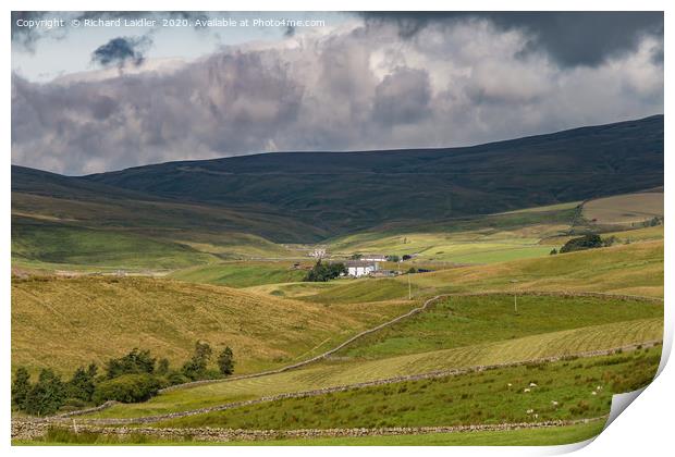 Stoney Hill Farm, Harwood, Upper Teesdale Print by Richard Laidler