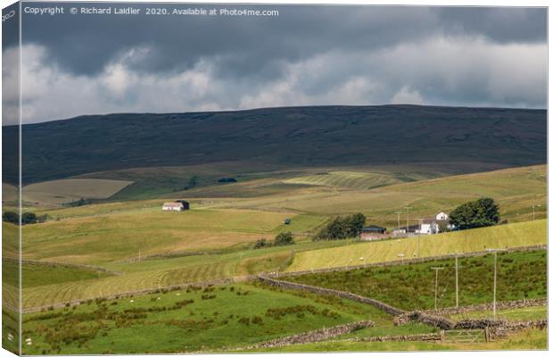 Lingy Hill Farm, Harwood, Upper Teesdale Canvas Print by Richard Laidler