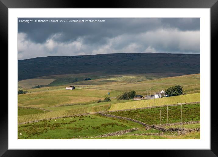 Lingy Hill Farm, Harwood, Upper Teesdale Framed Mounted Print by Richard Laidler