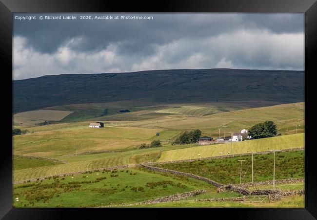 Lingy Hill Farm, Harwood, Upper Teesdale Framed Print by Richard Laidler