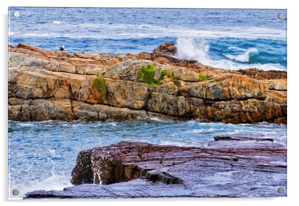Rocks and Breaking Waves at Hermanus Acrylic by Jeremy Hayden