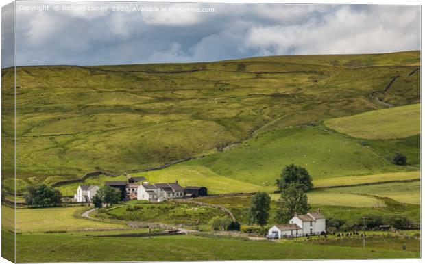 Harwood, Upper Teesdale Hill Farms Canvas Print by Richard Laidler
