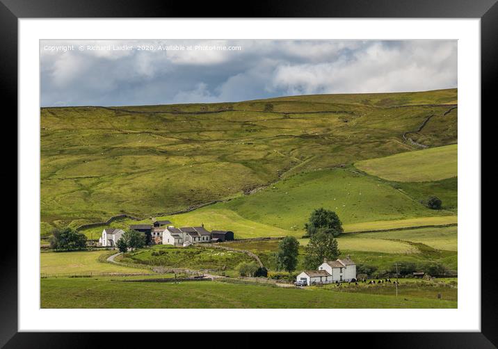 Harwood, Upper Teesdale Hill Farms Framed Mounted Print by Richard Laidler