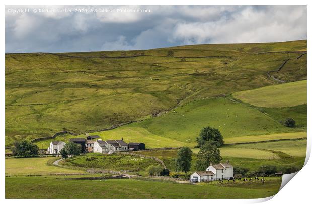 Harwood, Upper Teesdale Hill Farms Print by Richard Laidler