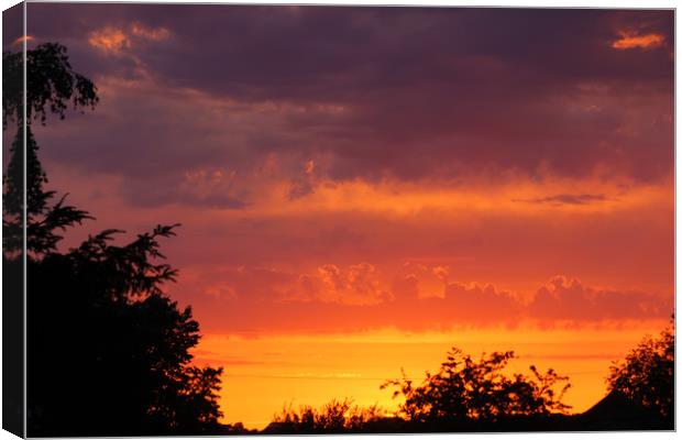 Magnificent Sunset Canvas Print by Jeremy Hayden