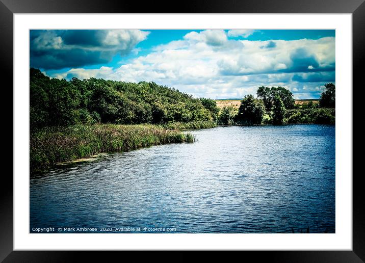 Lake at Cowpen Bewley Woods, Teeside Framed Mounted Print by Mark Ambrose