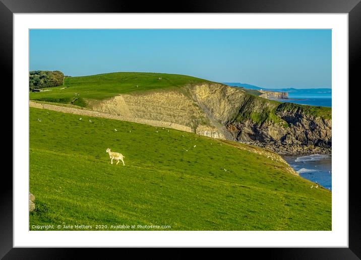 Southerndown Cliffs Framed Mounted Print by Jane Metters