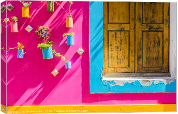 Painted wall in the streets of Funchal Canvas Print by Nicolas Boivin