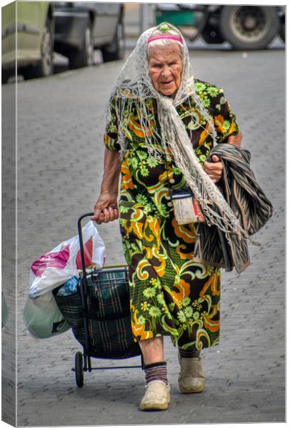 It's a hard life for a Babushka Canvas Print by Dave Williams