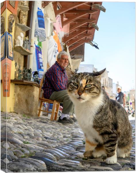 Cat and shop keeper, Rhodes. Canvas Print by Chris North