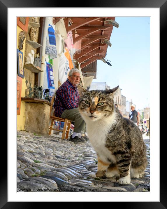 Cat and shop keeper, Rhodes. Framed Mounted Print by Chris North