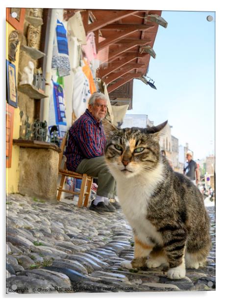 Cat and shop keeper, Rhodes. Acrylic by Chris North