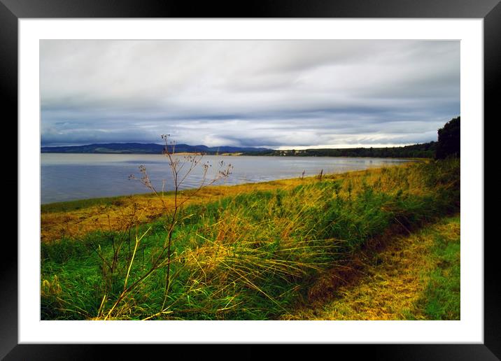 The Beauly Firth Framed Mounted Print by Steven Watson