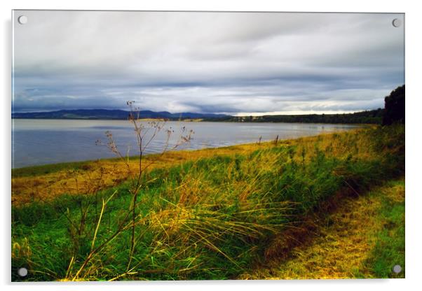 The Beauly Firth Acrylic by Steven Watson