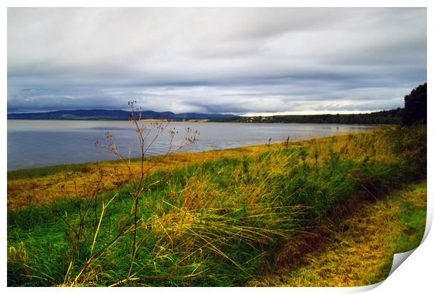 The Beauly Firth Print by Steven Watson
