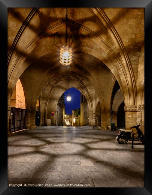 Avenue of the Knights  Framed Print by Chris North