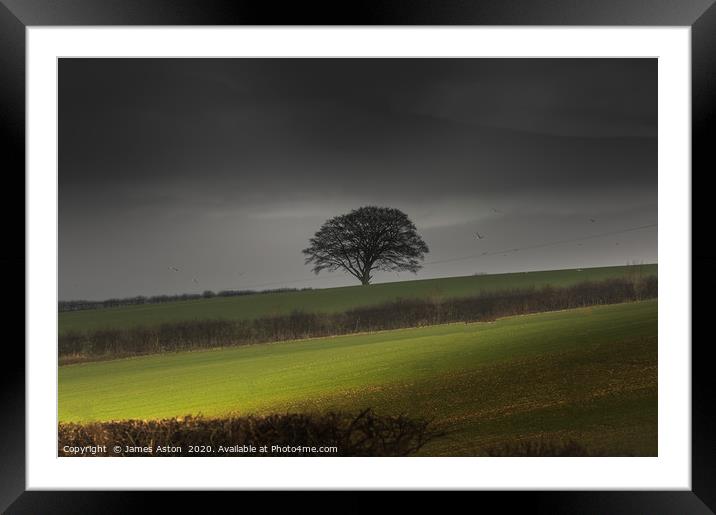 The Lone Tree of the Wolds  Framed Mounted Print by James Aston