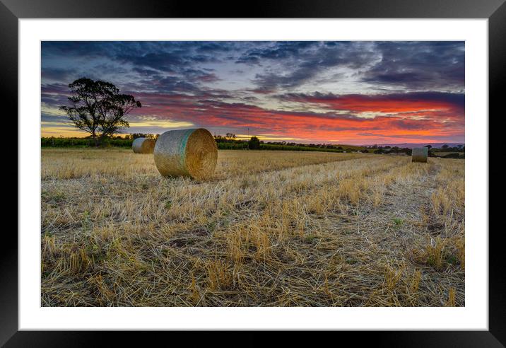 MClarenvale sunrise Adelaide South Australia  Framed Mounted Print by Michael Brookes