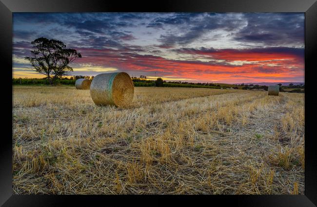 MClarenvale sunrise Adelaide South Australia  Framed Print by Michael Brookes