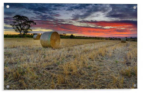 MClarenvale sunrise Adelaide South Australia  Acrylic by Michael Brookes