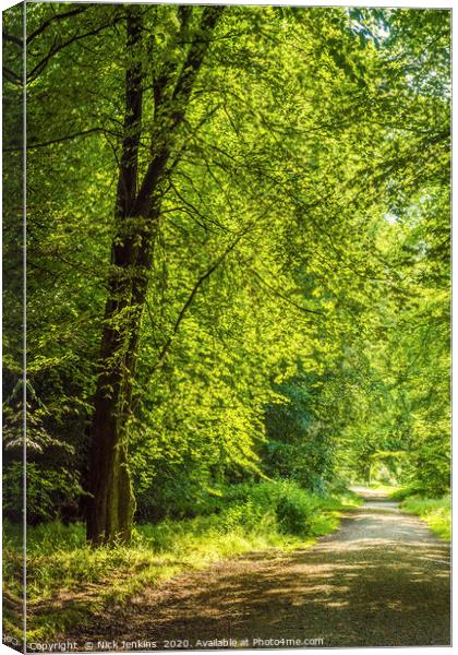 Trackway and Trees in the Wentwood Forest Monmouth Canvas Print by Nick Jenkins