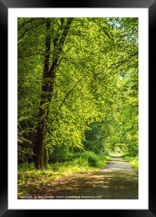 Trackway and Trees in the Wentwood Forest Monmouth Framed Mounted Print by Nick Jenkins