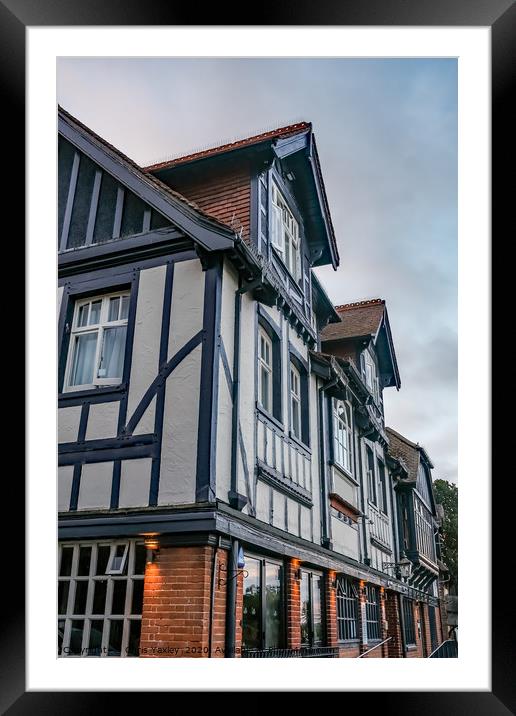 Horning Swan Inn, Norfolk Broads Framed Mounted Print by Chris Yaxley