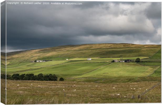 Harwood Hill Farms, Upper Teesdale Canvas Print by Richard Laidler