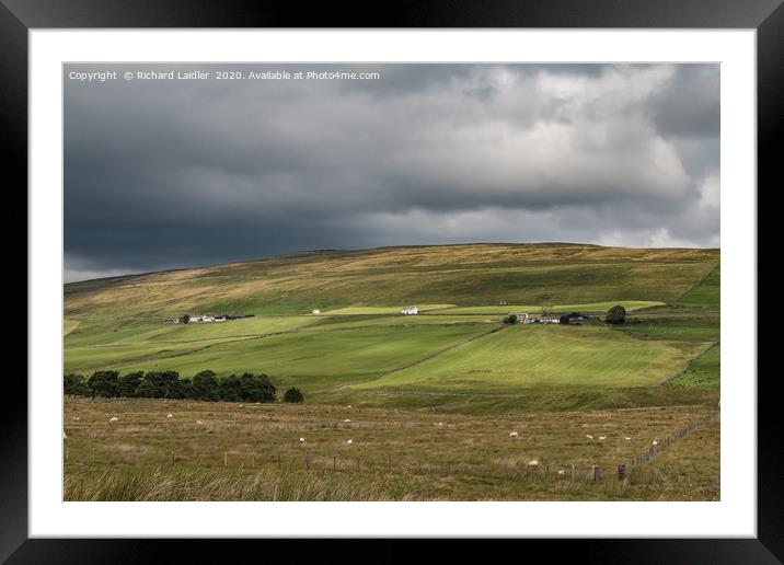 Harwood Hill Farms, Upper Teesdale Framed Mounted Print by Richard Laidler