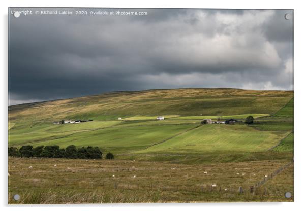 Harwood Hill Farms, Upper Teesdale Acrylic by Richard Laidler