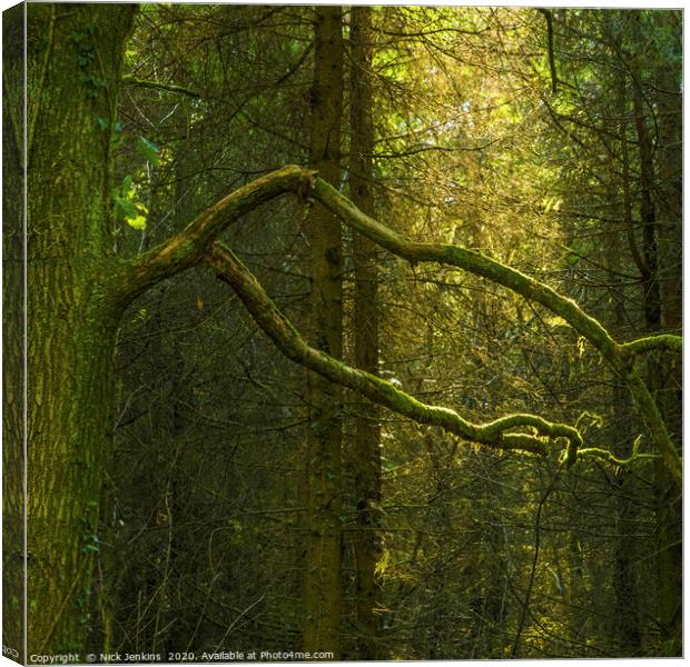 Trees in Wentwood Forest Monmouthshire Canvas Print by Nick Jenkins
