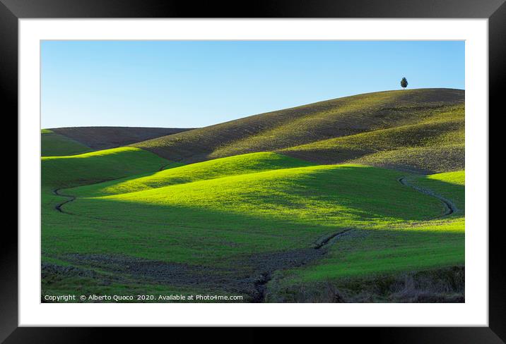 harmonies Framed Mounted Print by Alberto Quoco