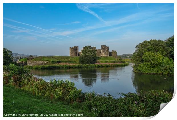 Caerphilly Castle Moat Print by Jane Metters