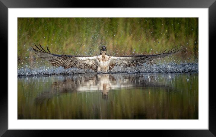 Take Off Framed Mounted Print by Alan Sinclair