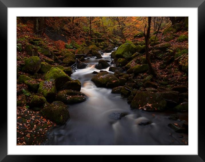 Fallen leaves in Padley Gorge Framed Mounted Print by Jules Taylor