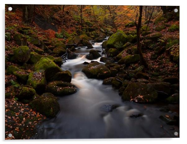 Fallen leaves in Padley Gorge Acrylic by Jules Taylor