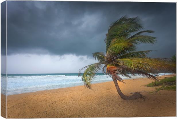 Incoming storm on Karon Beach Canvas Print by Leighton Collins