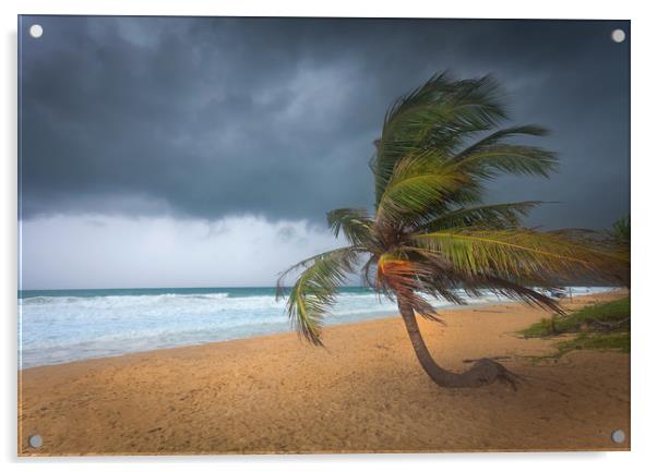 Incoming storm on Karon Beach Acrylic by Leighton Collins