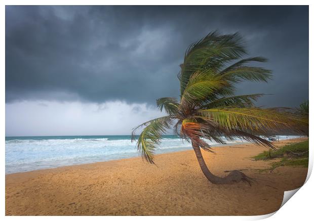 Incoming storm on Karon Beach Print by Leighton Collins