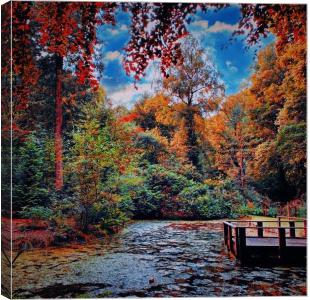 Etherow Pond  Canvas Print by Rachael Smith