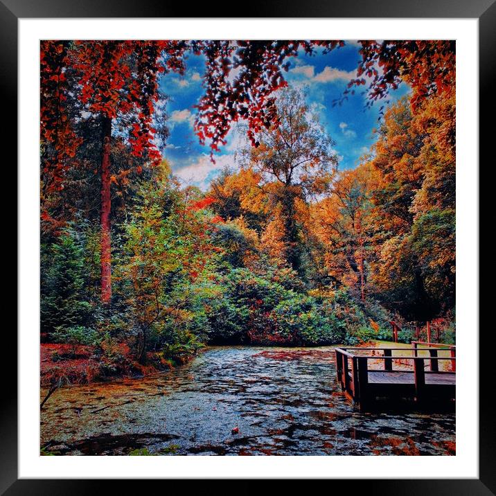 Etherow Pond  Framed Mounted Print by Rachael Smith