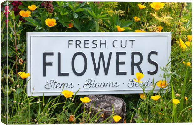 Garden flowers with fresh cut flower sign 0770 Canvas Print by Simon Bratt LRPS