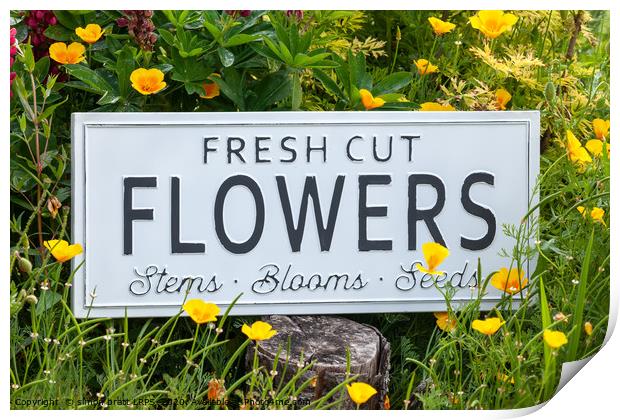Garden flowers with fresh cut flower sign 0770 Print by Simon Bratt LRPS