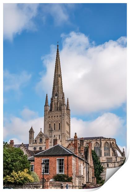 Norwich Cathedral captured from Cathedral Close Print by Chris Yaxley