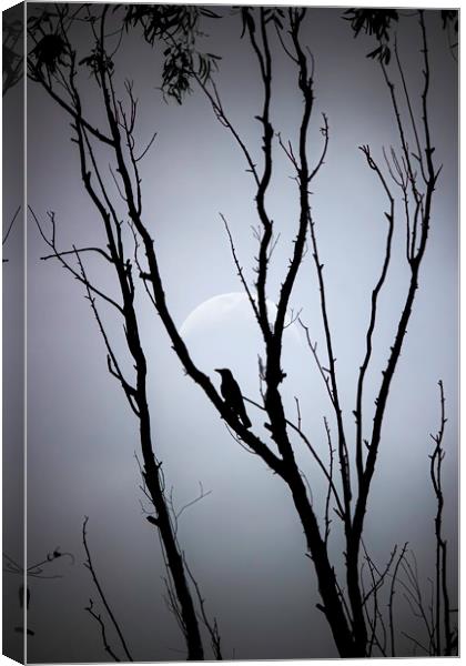 A bird on tree against full moon Canvas Print by Arpan Bhatia