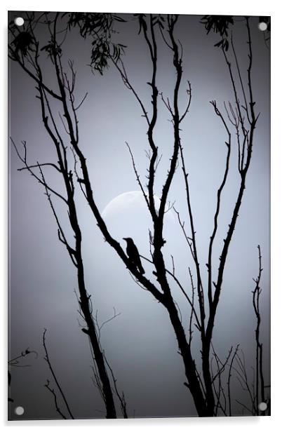 A bird on tree against full moon Acrylic by Arpan Bhatia