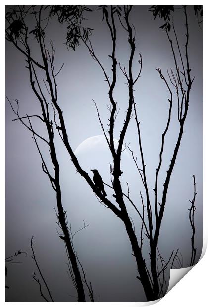 A bird on tree against full moon Print by Arpan Bhatia