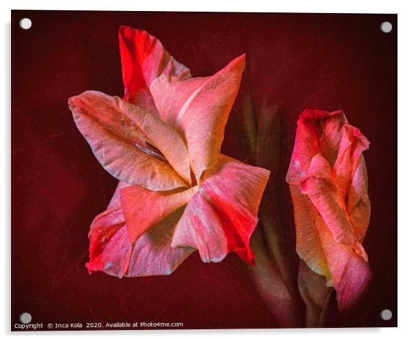 Gladioli Flowers In Bloom  Acrylic by Inca Kala